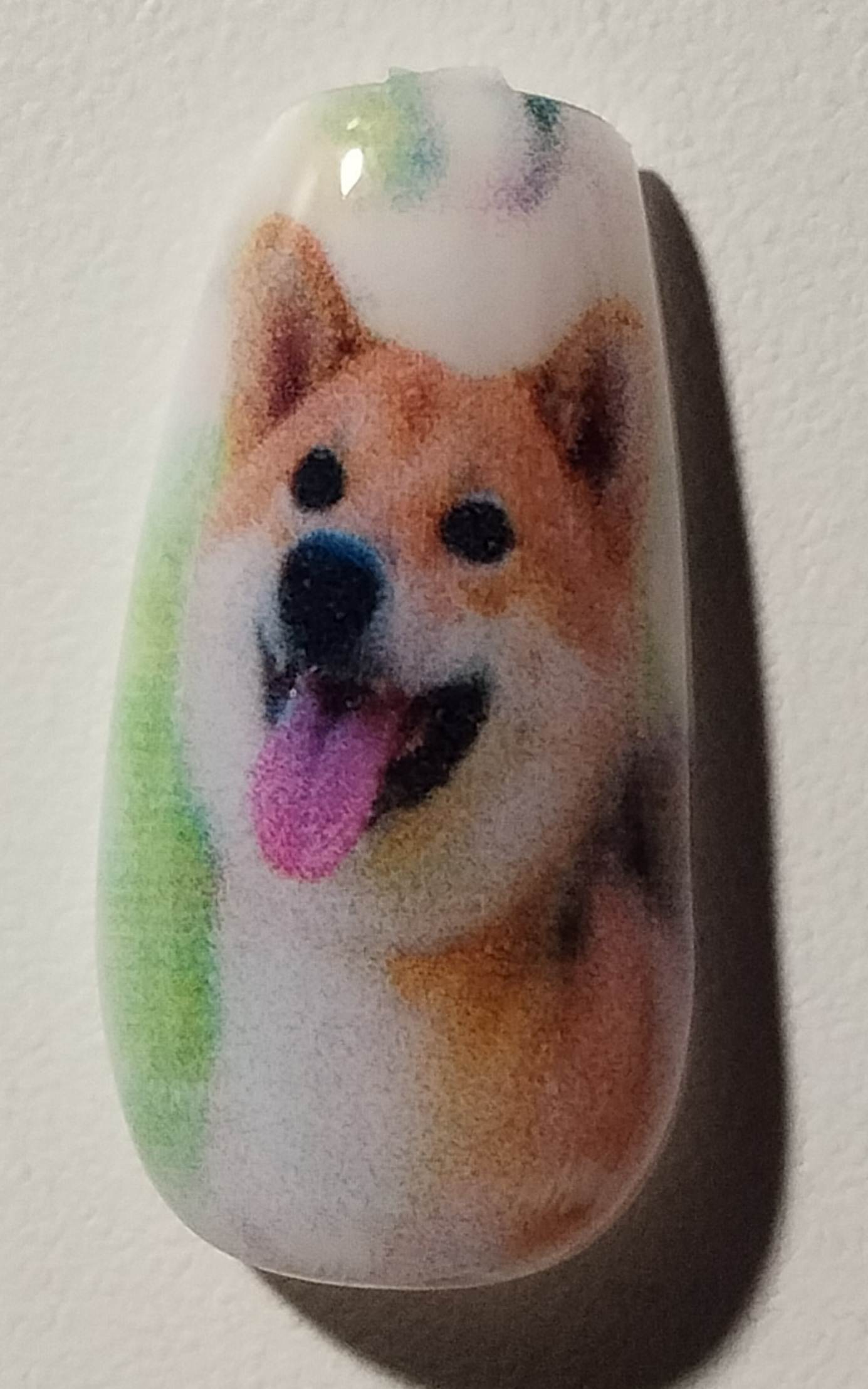 愛犬のネイルアート